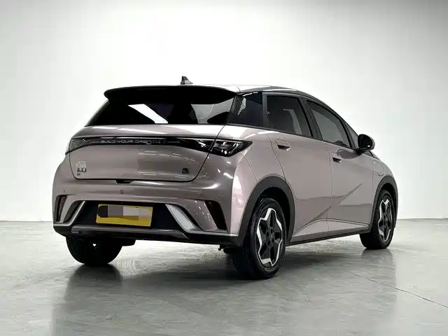 BYD Dolphin 2021 2021 Model 405km Fashion Edition