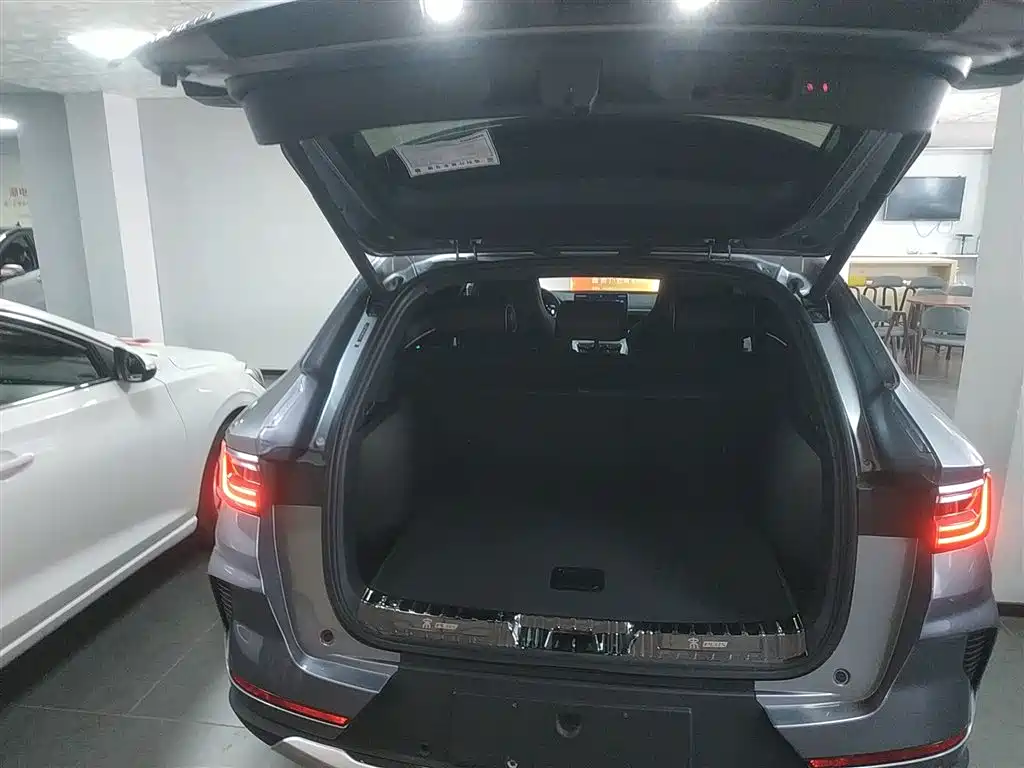 BYD Song PLUS PHEV 2021 DM-i 110KM Flagship фото 15