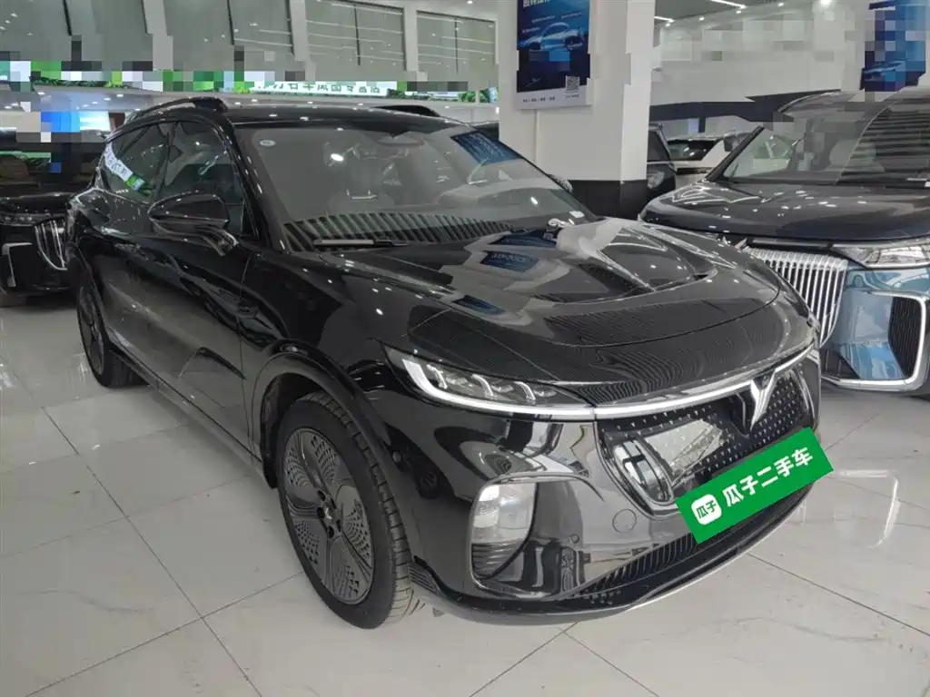 Voyah Auto Voyah Zhiyin 2024 4WD Global Edition фото 22