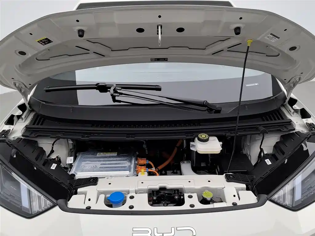 BYD Seagull 2025 Smart Drive Edition 305km Freedom Version фото 6