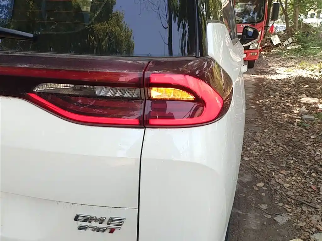GAC Trumpchi Trumpchi M6 2019 270T Automatic Luxury (7-seater) China V фото 8