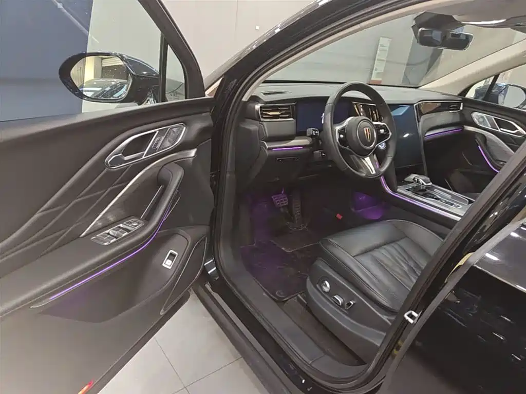 Hongqi HS7 PHEV 2024 2.0T PHEV 4WD Flagship Edition 6-seater фото 16