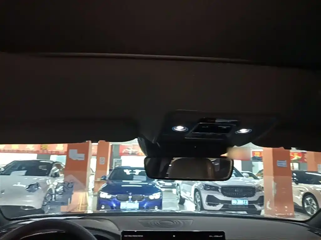 BYD Han 2020 DM AWD Performance Luxury Edition фото 18
