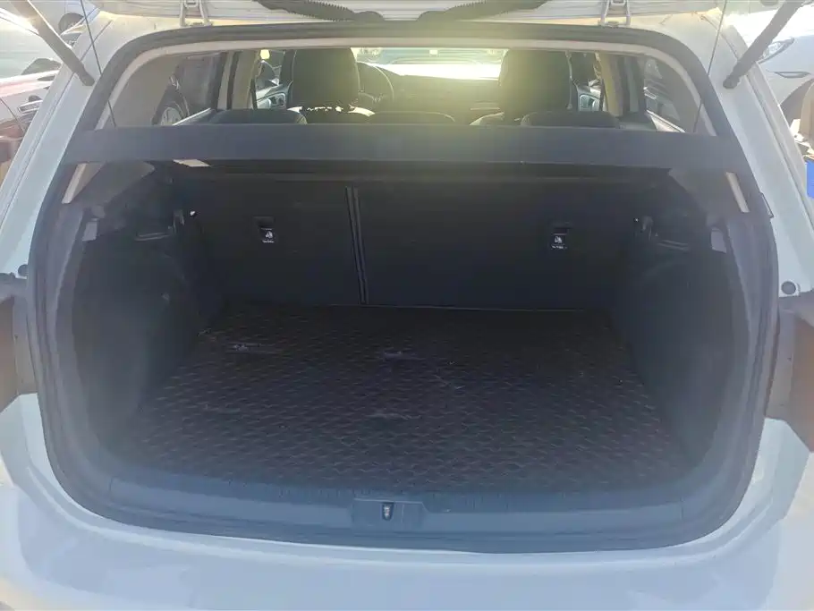 Volkswagen Golf 2019 200TSI DSG Comfort Progressive China VI фото 4