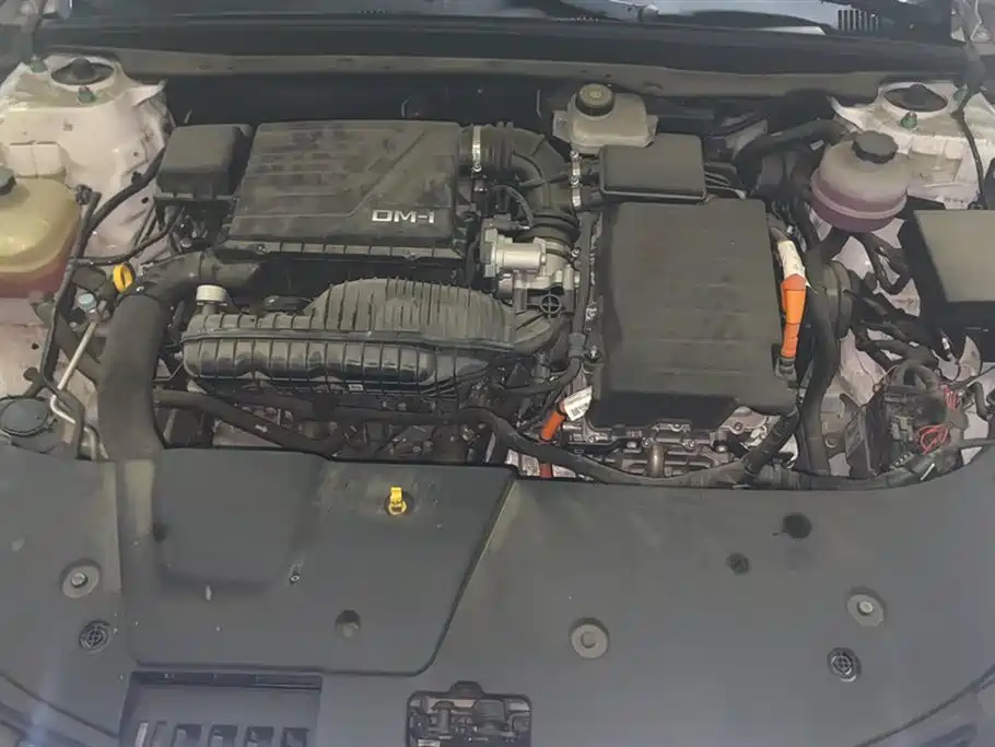 BYD Destroyer 05 2024 Glory Edition DM-i 55KM Luxury фото 10