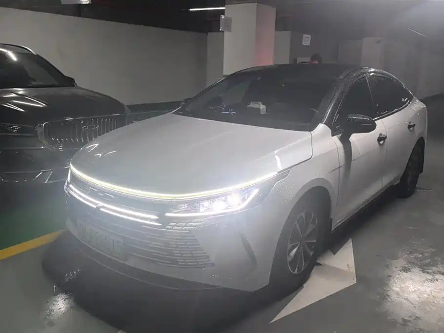 BYD Destroyer 05 2024 Glory Edition DM-i 55KM Luxury