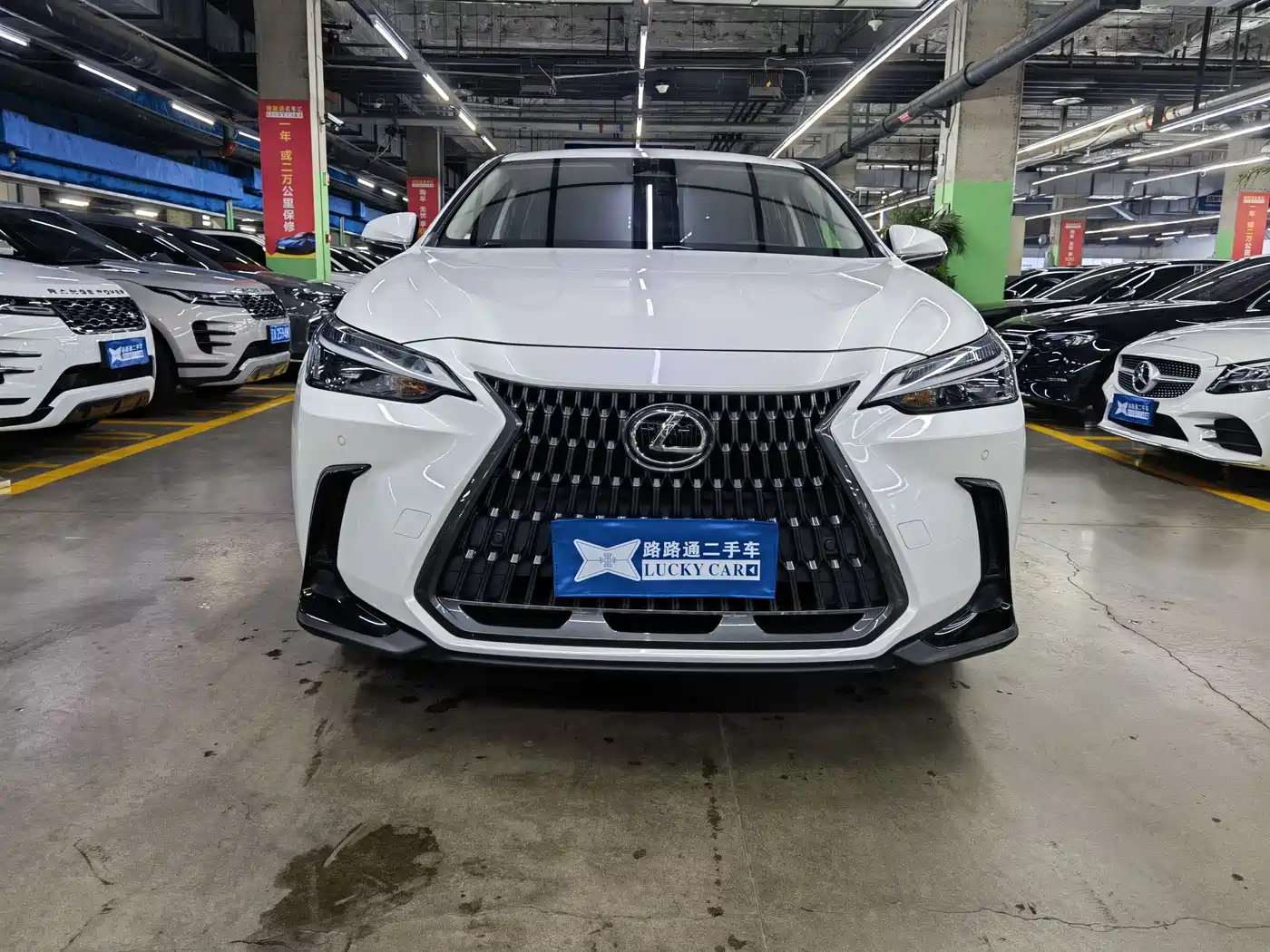 LEXUS NX