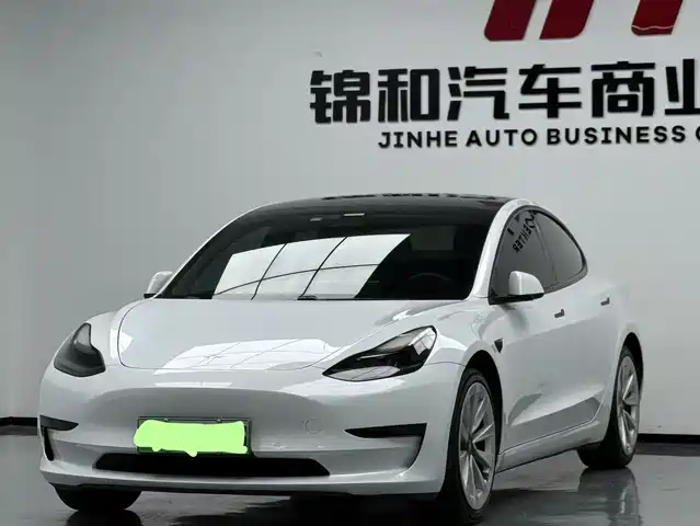 Tesla Model 3 2021 Standard Range Rear-Wheel Drive Upgrade