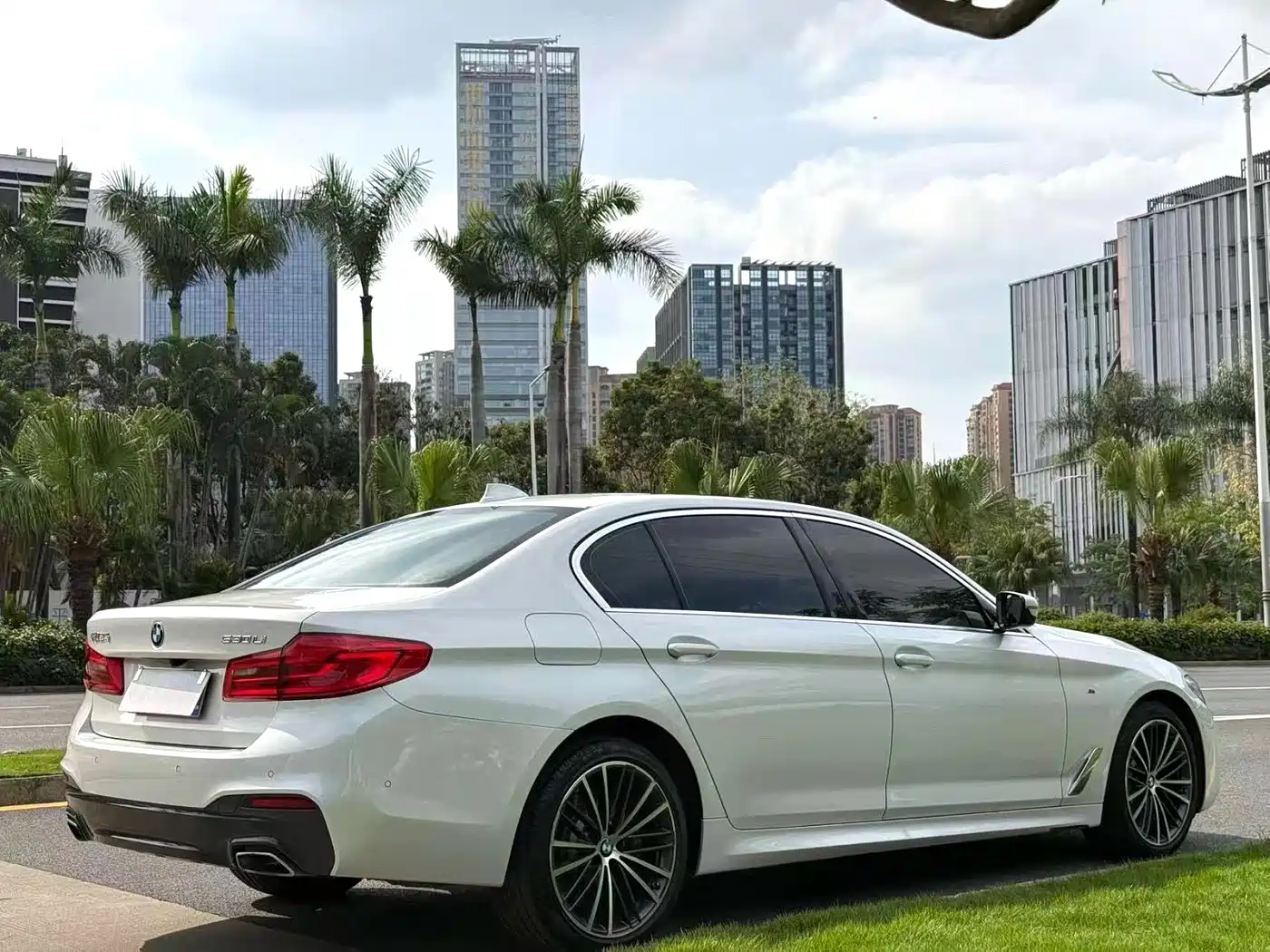 BMW 5 Series 2020 530Li Leading M Sport Package фото 3
