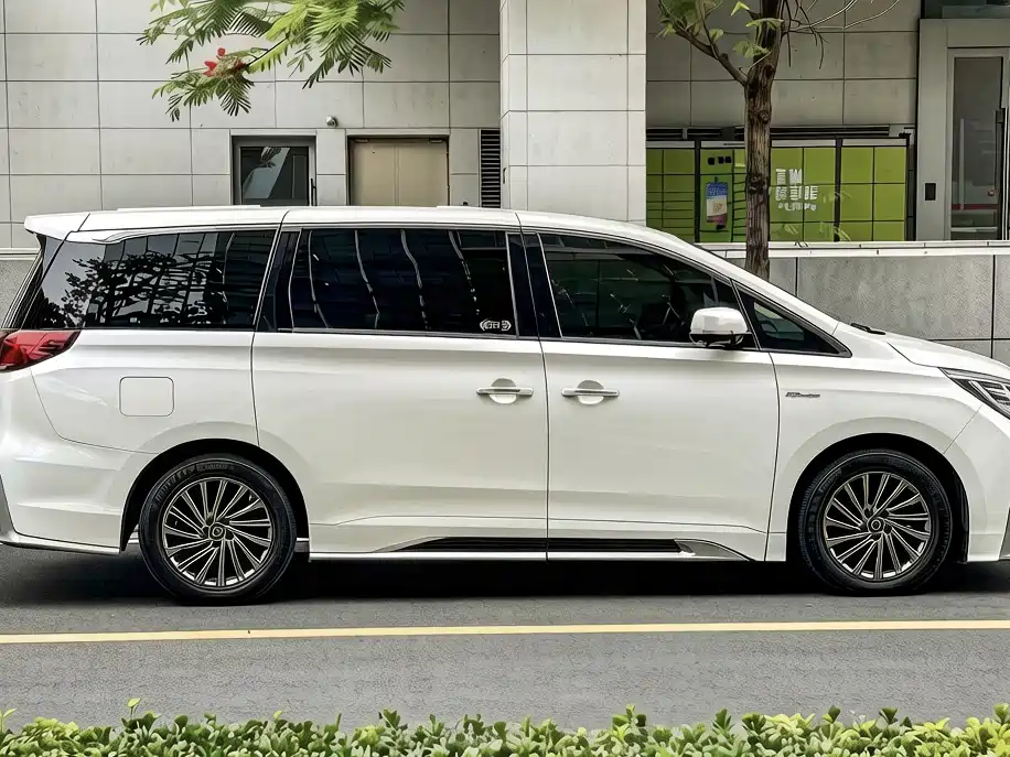 GAC Trumpchi Trumpchi M8 2021 Master Series 390T Ultimate Edition фото 7