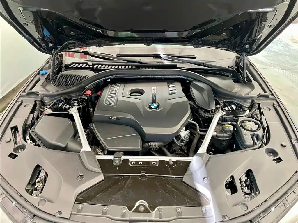BMW 5 Series 2018 Facelift 530Li Leading Luxury Package фото 20