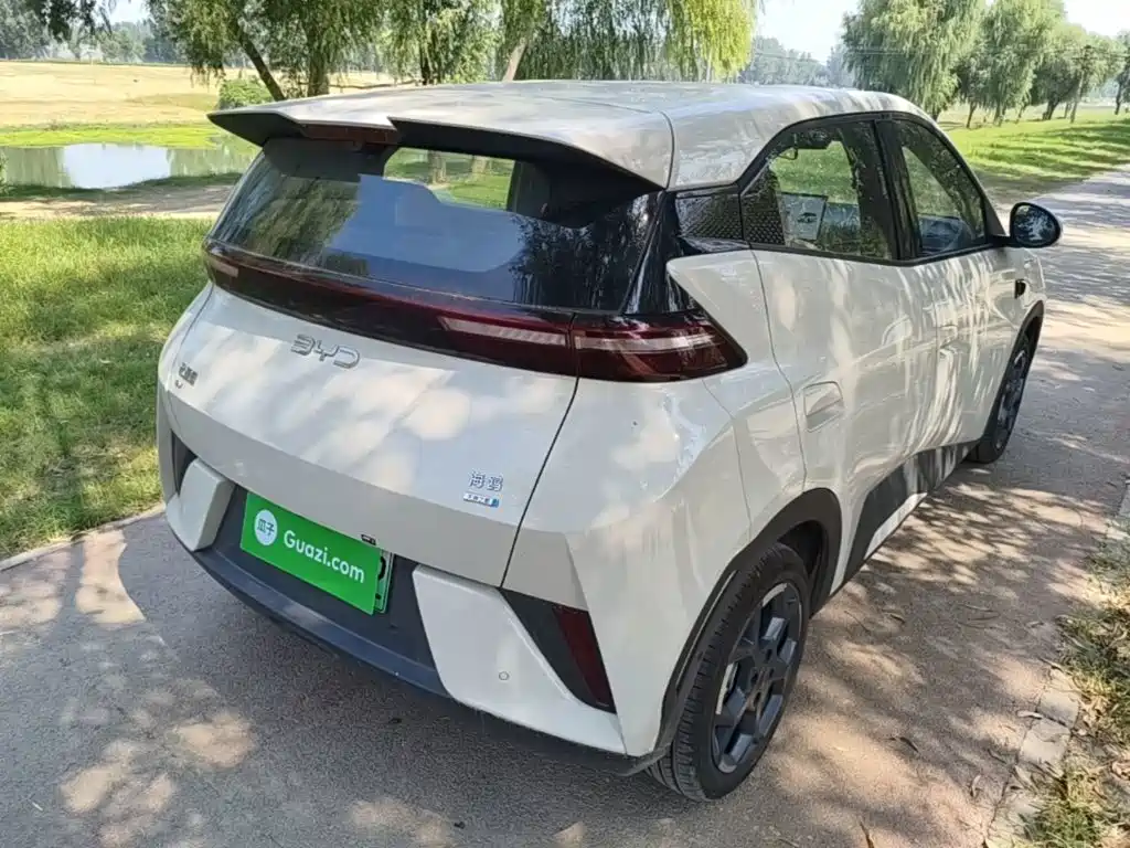 BYD Seagull 2026 2025 Smart Drive Edition 305km Freedom Version