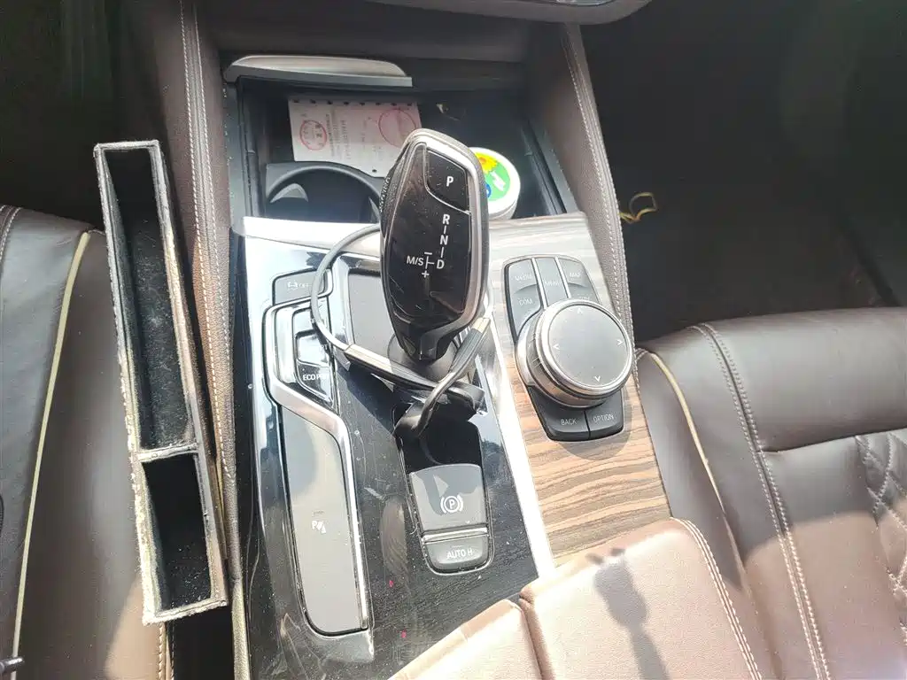 BMW 5 Series 2019 530Li Leading Luxury Package фото 7