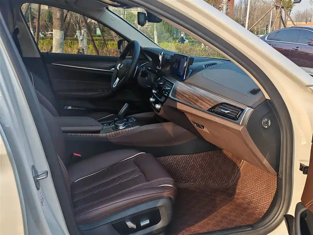 BMW 5 Series 2019 530Li Leading Luxury Package фото 14