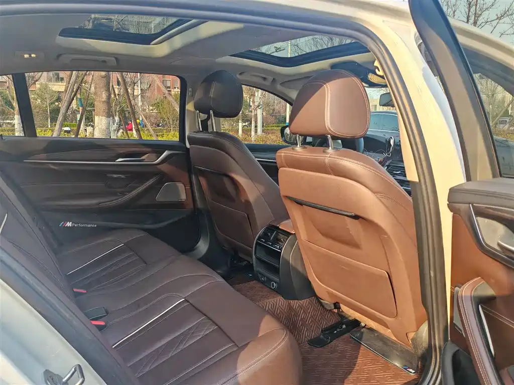 BMW 5 Series 2019 530Li Leading Luxury Package фото 19