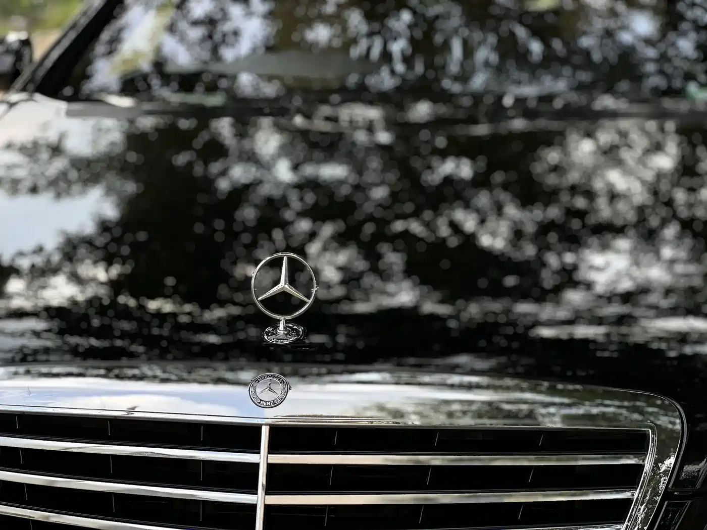 Mercedes-Benz S-Class фото 17