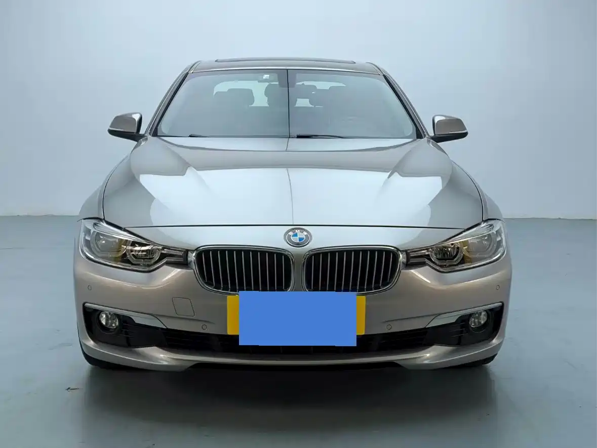 BMW 3 Series 2018 320Li Fashion Style фото 2