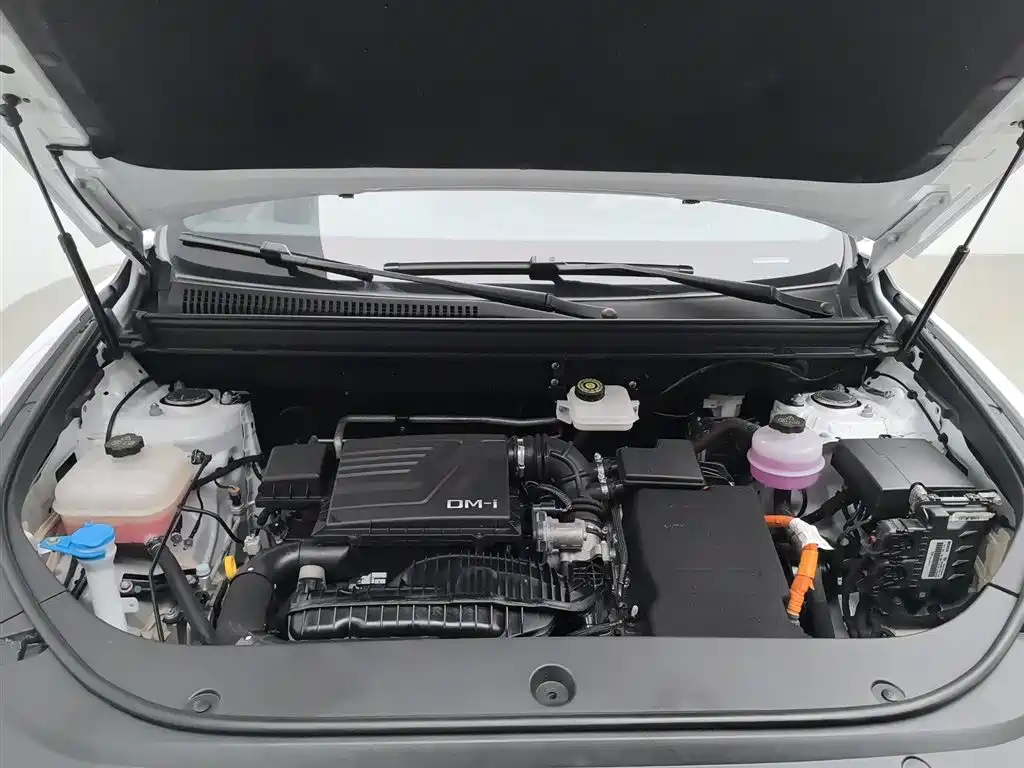BYD Song Pro New Energy 2024 Glory Edition DM-i 110KM Excellence фото 6