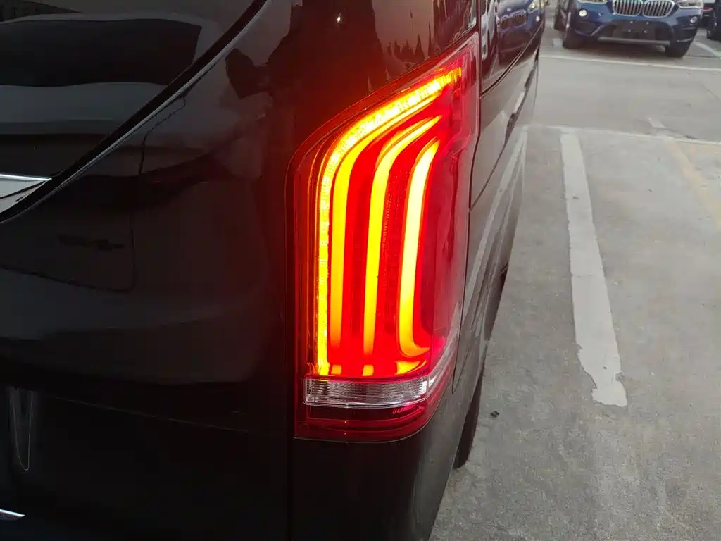Mercedes-Benz V-Class 2018 V 260 Premium Edition China V фото 8