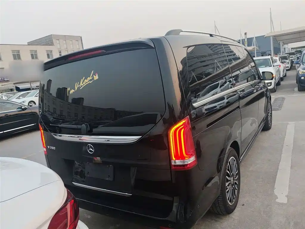 Mercedes-Benz V-Class 2018 V 260 Premium Edition China V фото 7