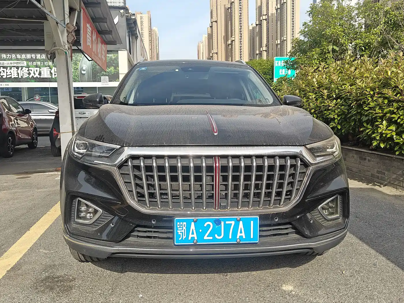 Hongqi HS5 2019 2.0T Smart Connect Enjoy 4WD Edition фото 2