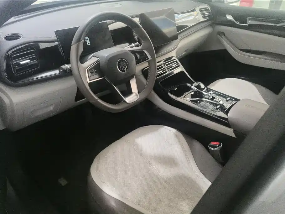 BYD Qin PLUS 2024 Glory Edition DM-i 55KM Leading фото 12