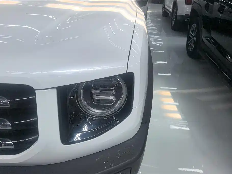 Haval Big Dog 2021 1.5T DCT 2WD Border Collie Edition фото 5