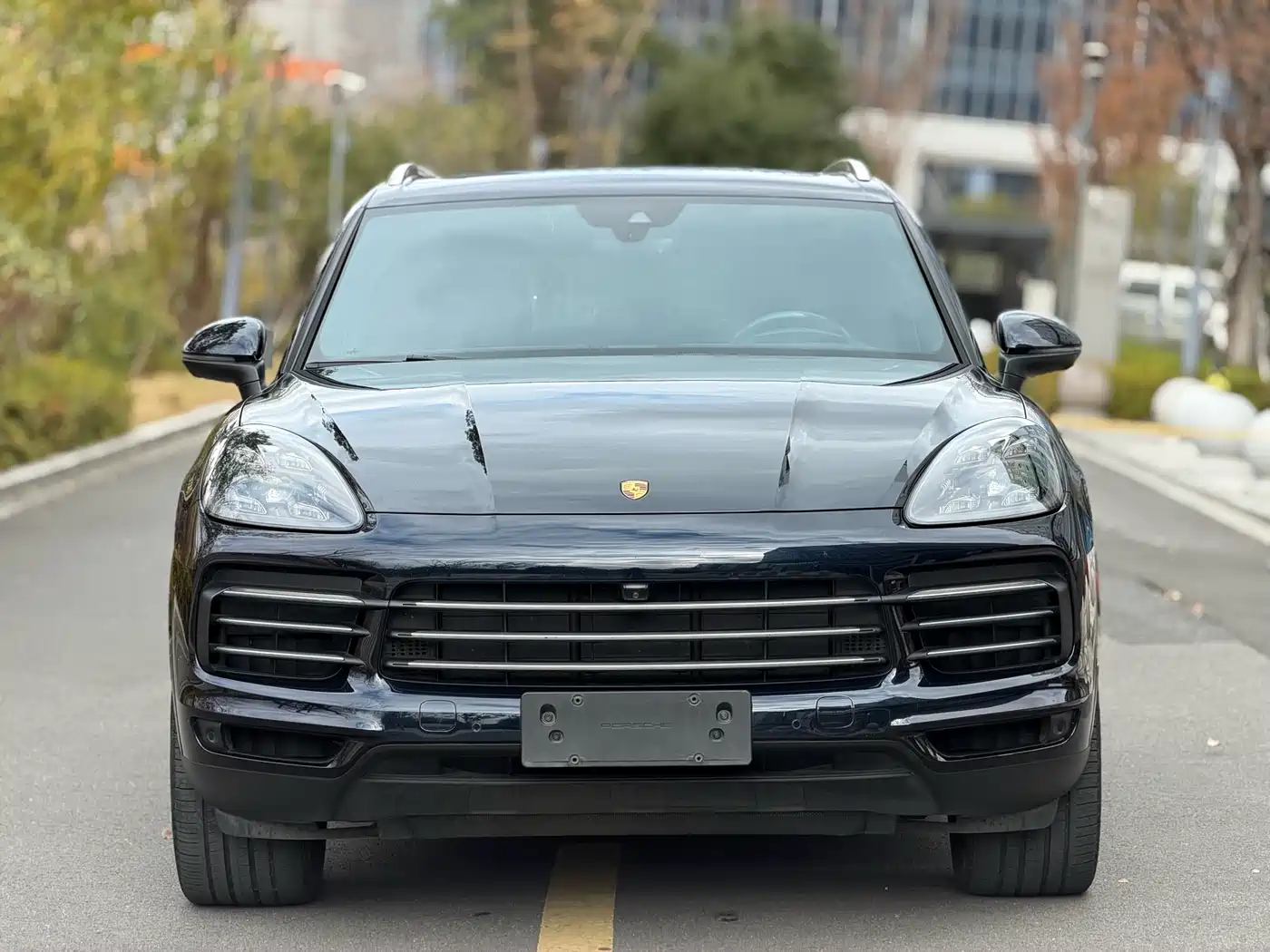 Porsche Cayenne 2019 Cayenne 3.0T фото 2
