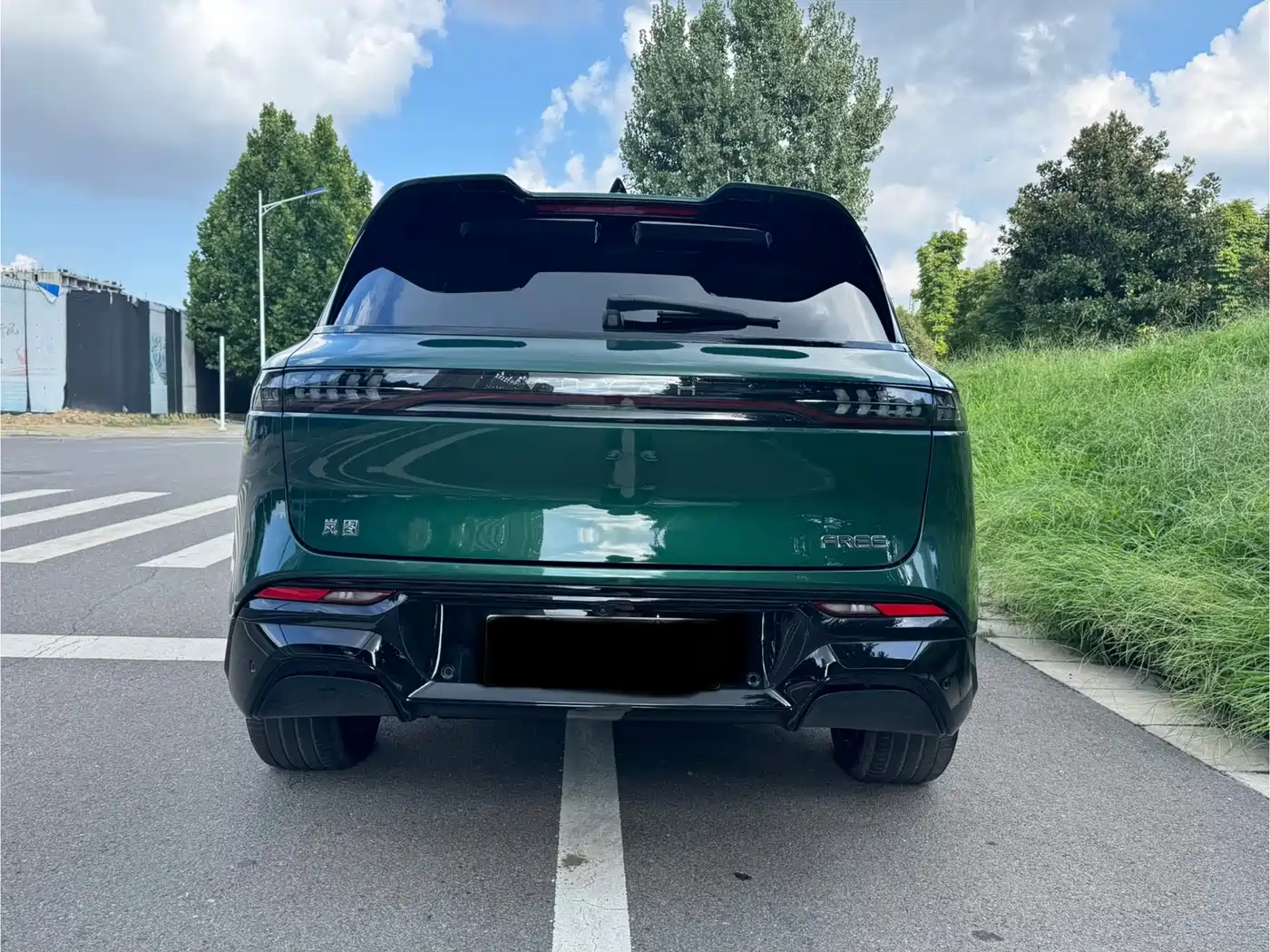 Voyah Free 2025 2025 318 318km RWD Touring Edition