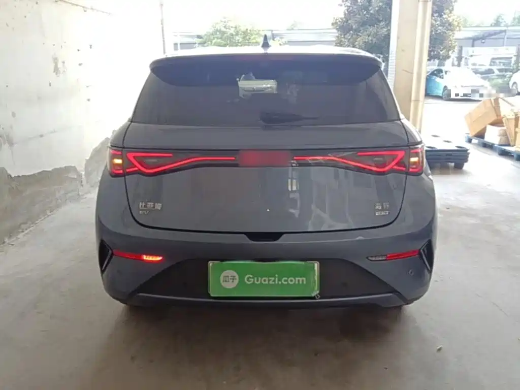 Фото 6 - BYD Dolphin