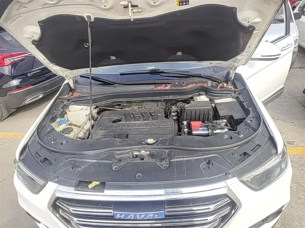 Haval H6 2018 Blue Label Sport 1.5T Automatic 2WD Elite фото 19