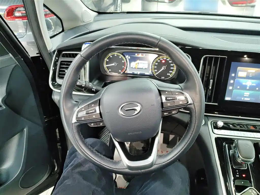 GAC Trumpchi Trumpchi M8 2023 Leading Series 390T Premium Edition фото 11