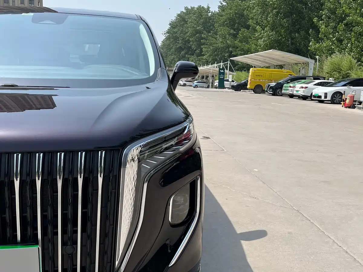 Hongqi HQ9 2024 Model 2.0T Luxury Edition фото 29
