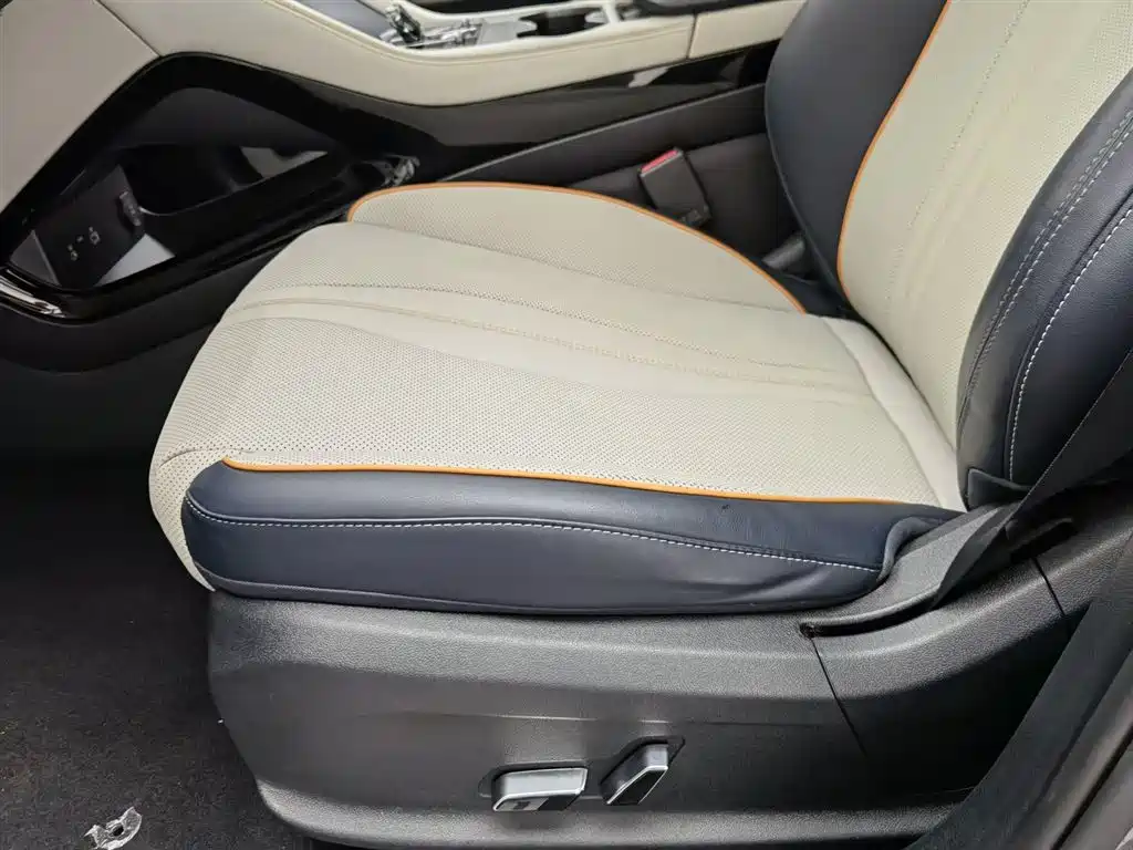 BYD Song PLUS PHEV 2024 Glory Edition EV 520km Flagship фото 20