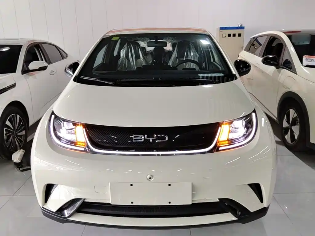 BYD Dolphin 2026 2025 420km Freedom Edition