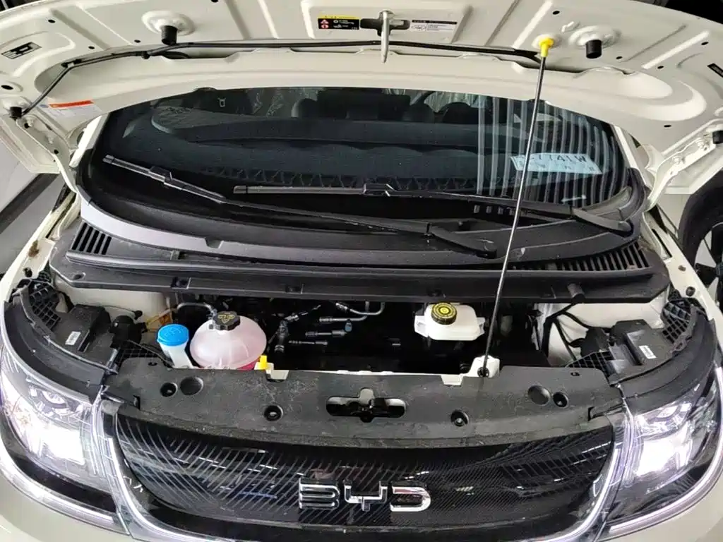 BYD Dolphin 2026 2025 420km Freedom Edition