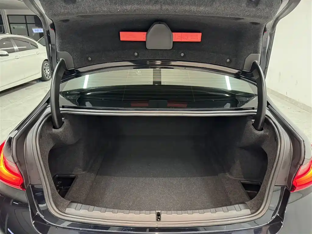 BMW 3 Series 2023 325i M Sport Black Night Package фото 19