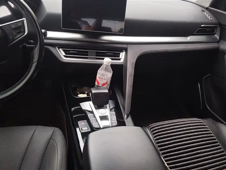 BYD Song Pro New Energy 2019 DM 1.5T 4WD Performance Luxury фото 16