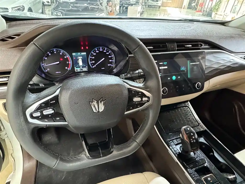 Dongfeng Fengdu Paladin 2023 Model 2.0T 4WD Premium Edition фото 13