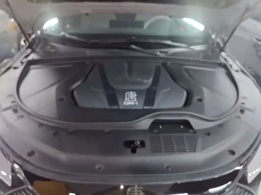 BYD Tang New Energy 2025 2025 DM-i 115KM Prestige Type