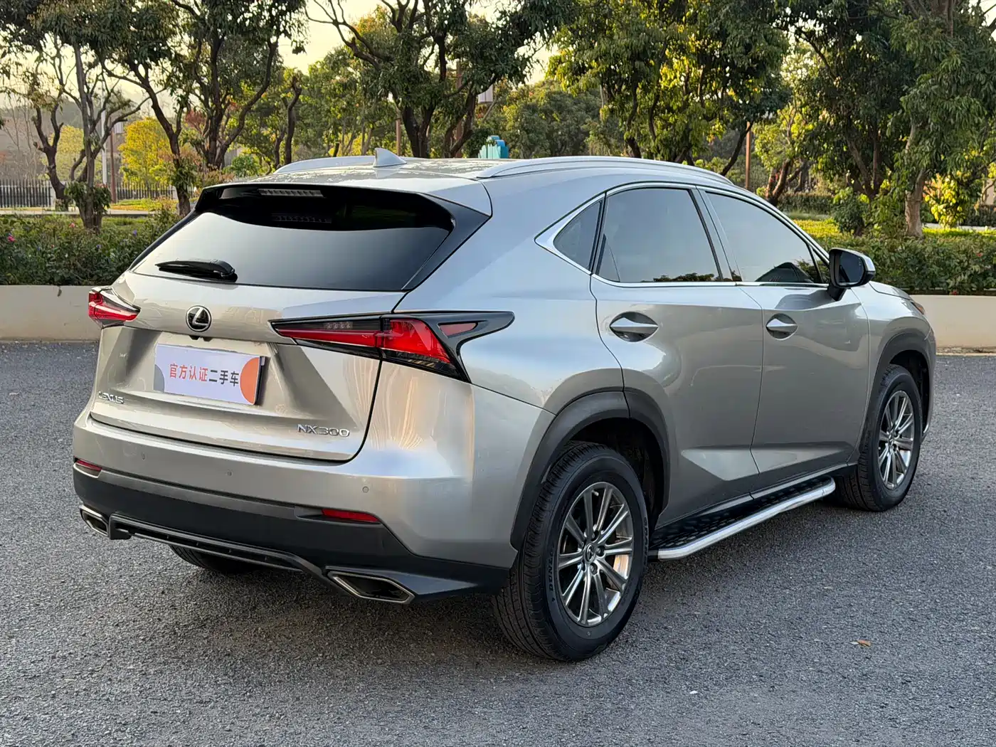 Lexus NX 2018 Model 300 FWD Fengxing Edition фото 6