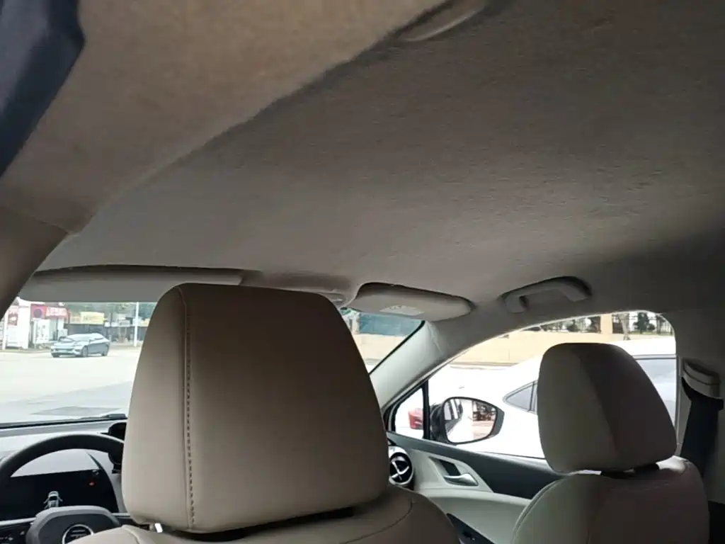BYD Yuan Pro 2021 2021 401KM Luxury Model