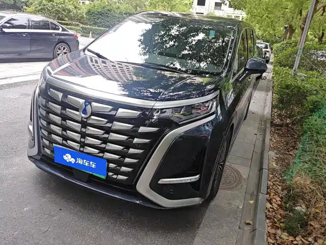 Denza D9 DM-i 970, Полный привод Флагман