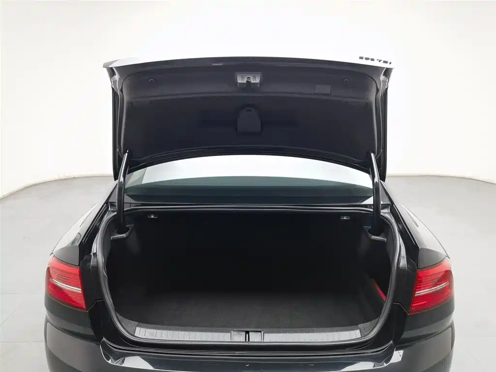 Volkswagen Magotan 2018 330TSI DSG Leading фото 16