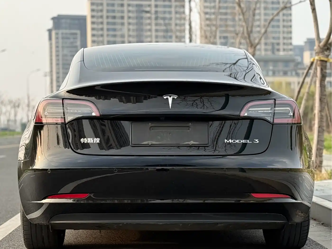 TESLA MODEL 3