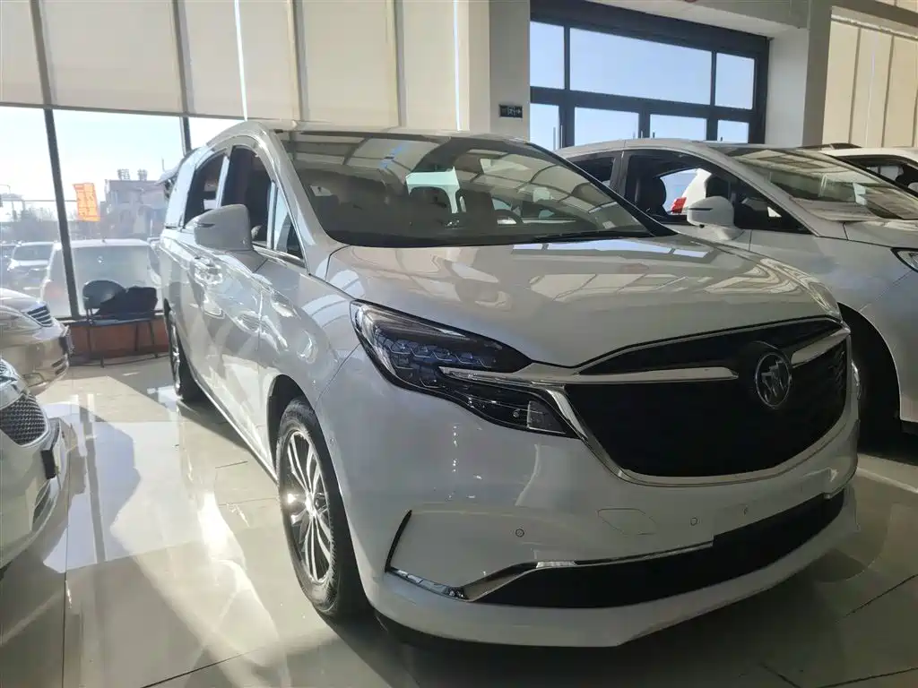 Buick GL8 2020 Model ES Landglory 653T Premium фото 8