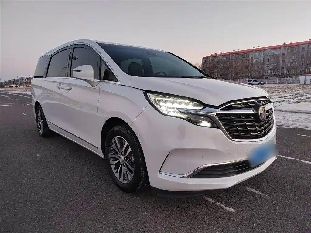 Buick GL8 2021 ES Landlord 653T Premium фото 5