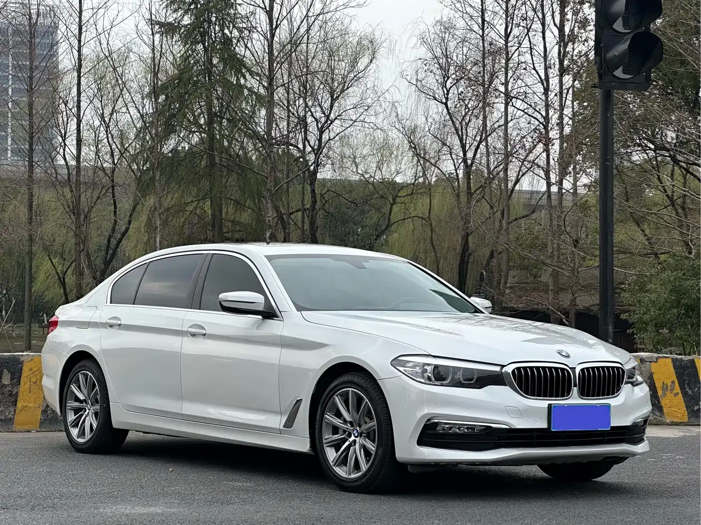 BMW 5 Series 2018 528Li Launch Special Edition фото 3