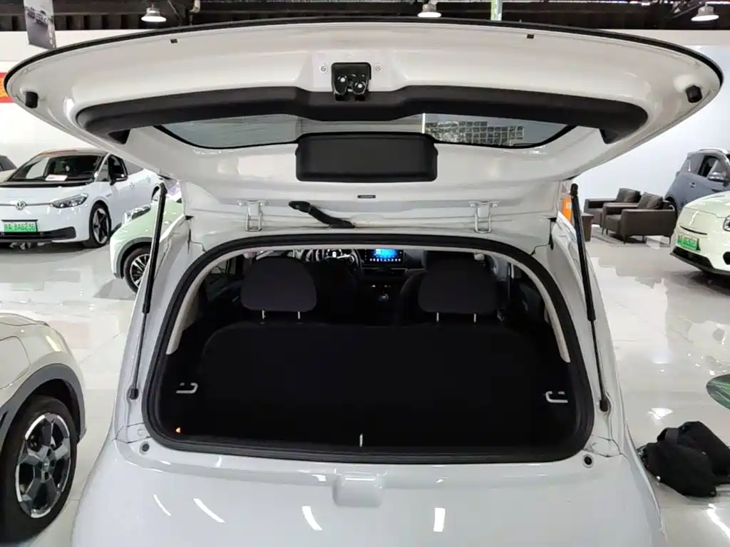 Ora White Cat 2022 2022 Upgraded 305km Luxury (NMC)
