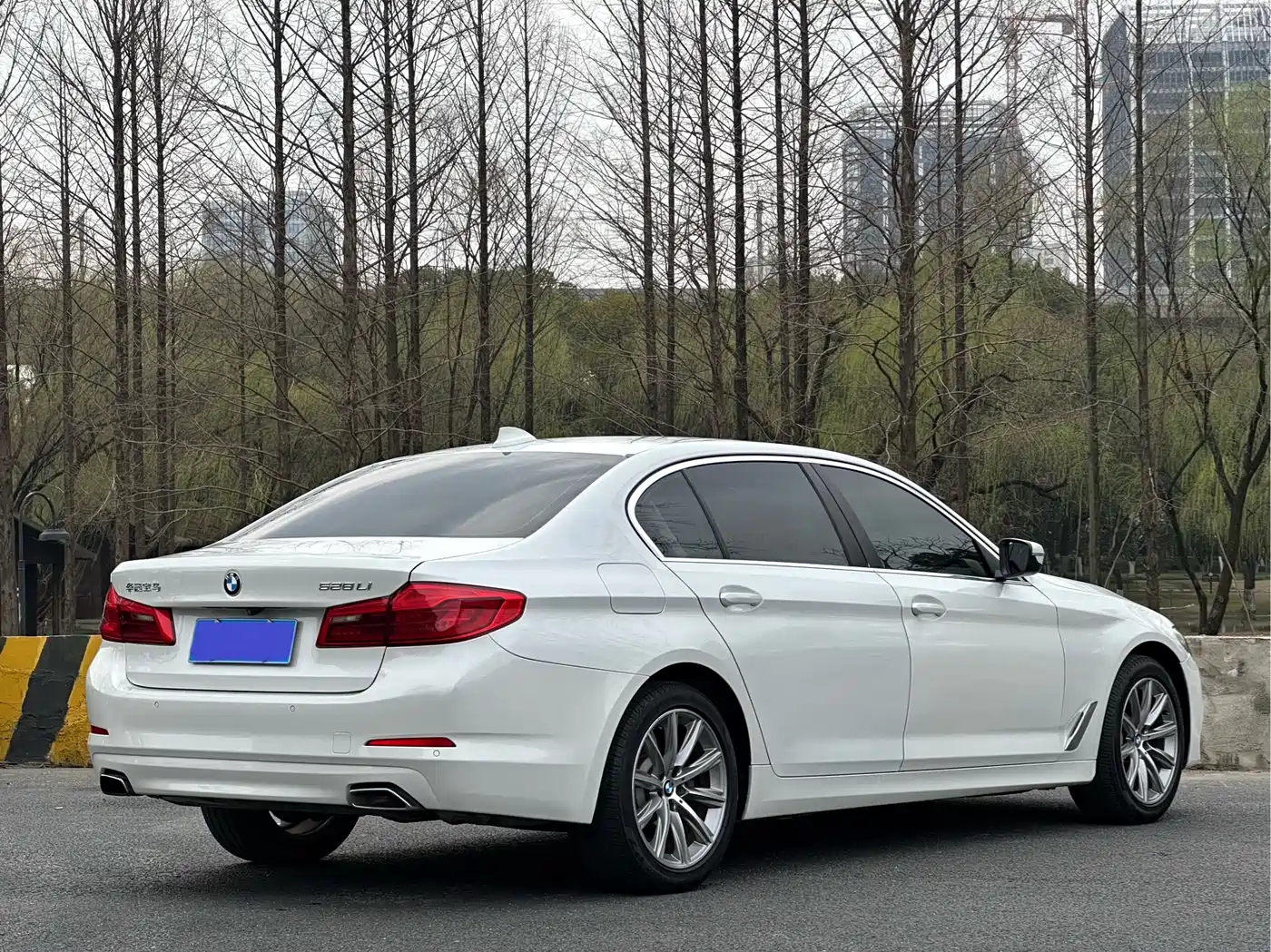 BMW 5 Series 2018 528Li Launch Special Edition фото 7